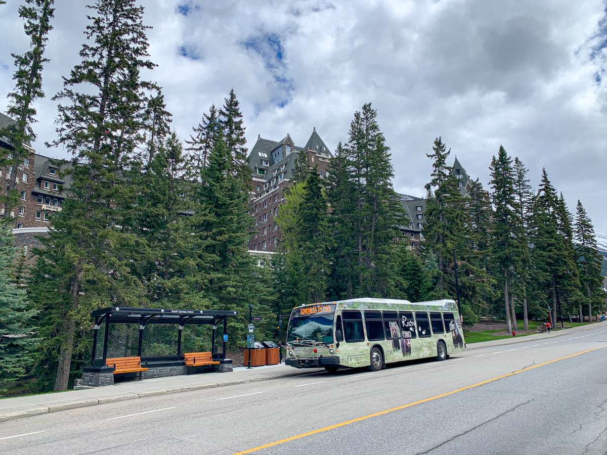 Enjoy free Banff public transit when you stay at an affordable room at the Banff Springs Hotel